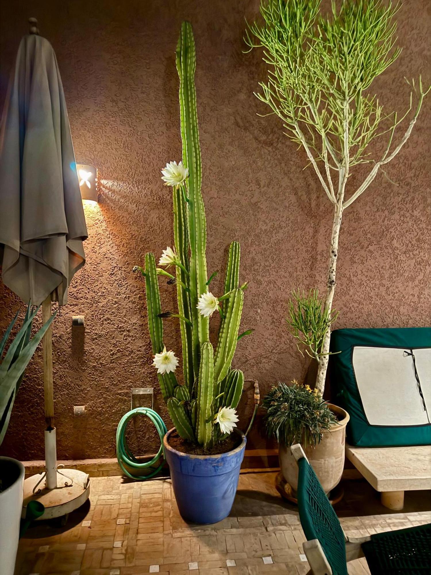 "Le 21", Exclusive Luxury Duplex 400M From Jemaa El Fna Place -Hammam-Jacuzzi-Koutoubia View-Roof Terrace -Speed Wifi Маракеш Екстериор снимка